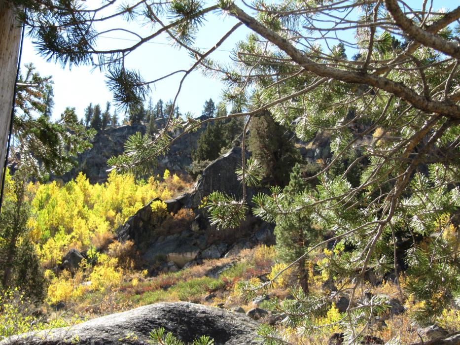Near the Hope Valley Store. Photo by Elaine Quilici