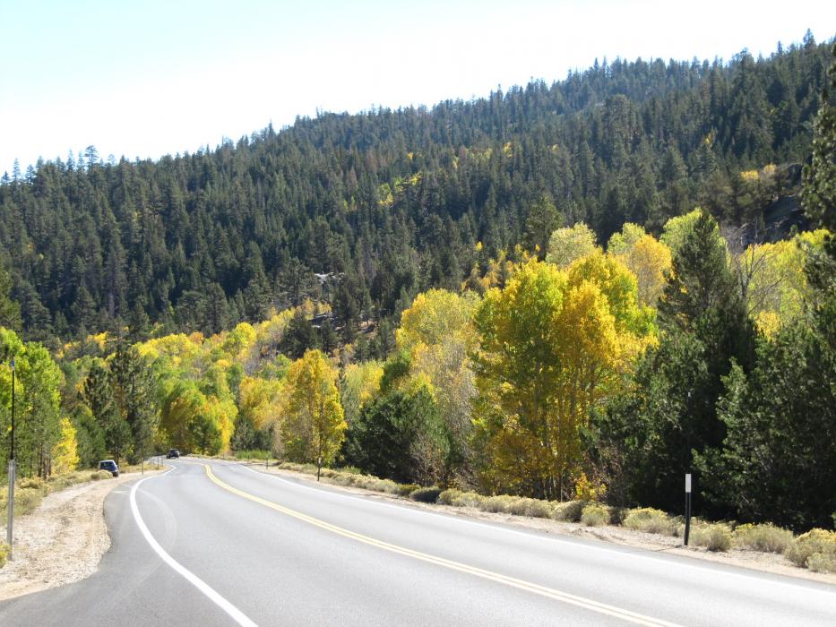 Between Sorensen's Resort and Pickett's Junction.  Photo by Elaine Quilici