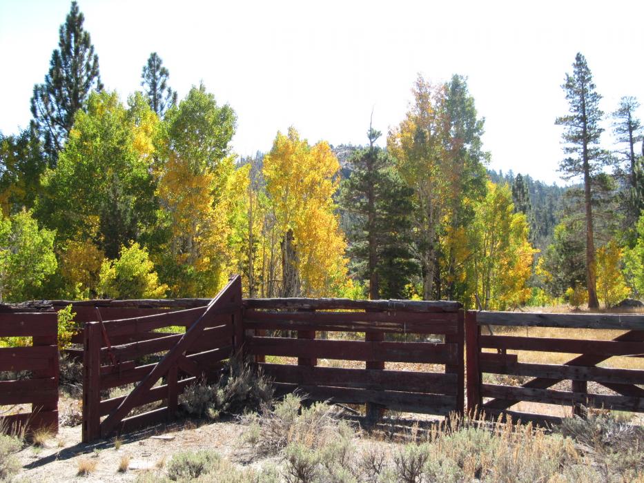 A small corral along the side of S.R. 88. Photo by Elaine Quilici