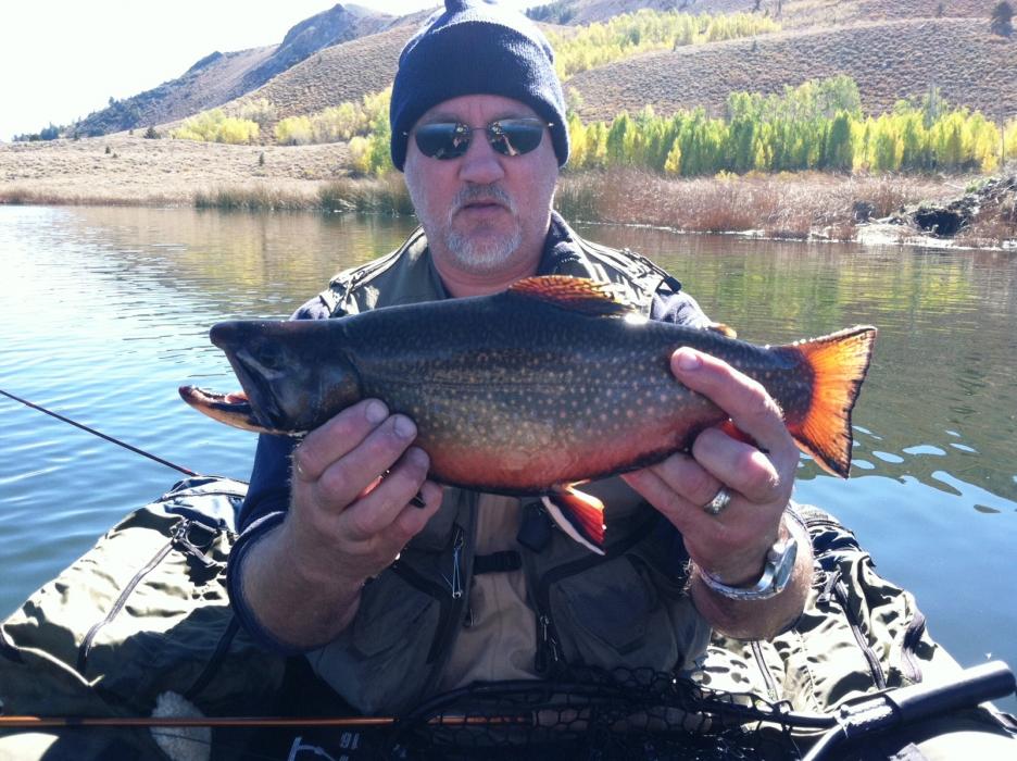 Vic Davis caught at Kirman Lake. Photo courtesy of Tom Loe of the Sierra Drifters Fly Fishing Guide Service