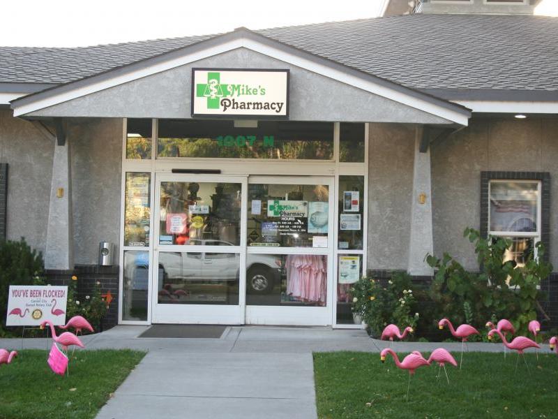 Mike's Pharmacy first flocking victim.