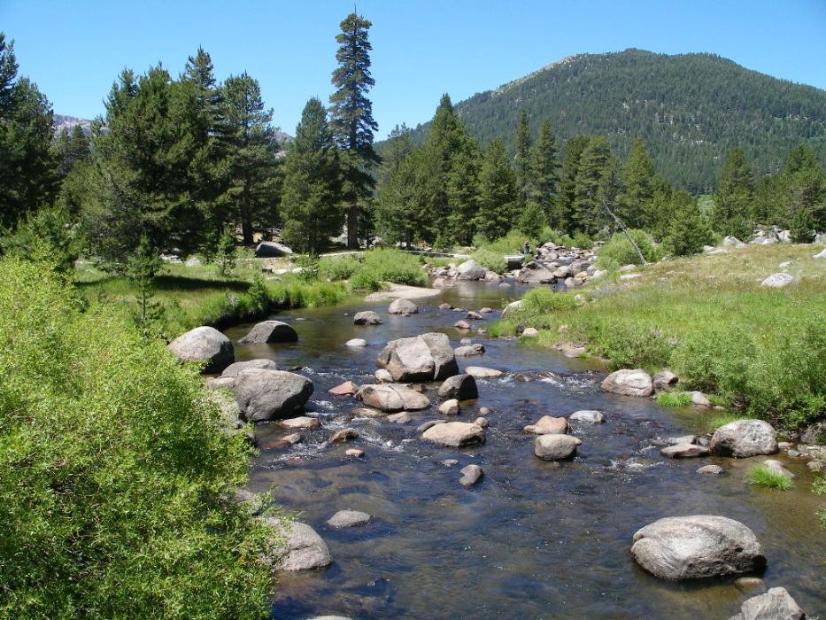 The West Carson River in Hope Valley. Photo by Elaine Quilici