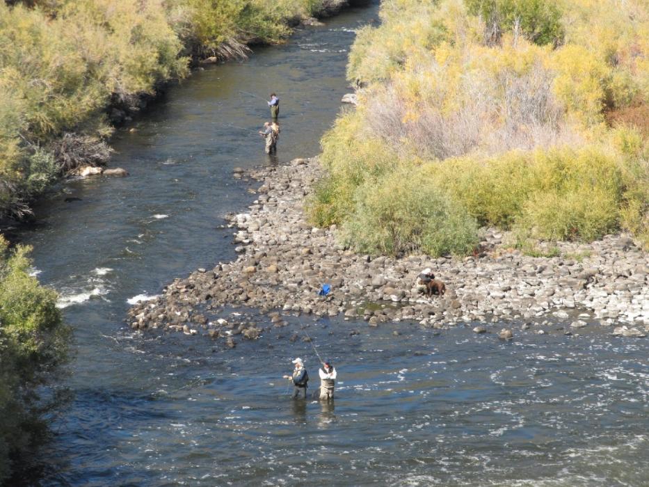 Fly fishermen on the East Walker River.  Photo by Elaine Quilici