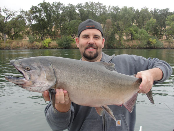 A King Salmon caught in the Sacramento River. Photo courtesy of Kirk and Lisa Portocarrero of Outdoor Adventures Sport Fishing