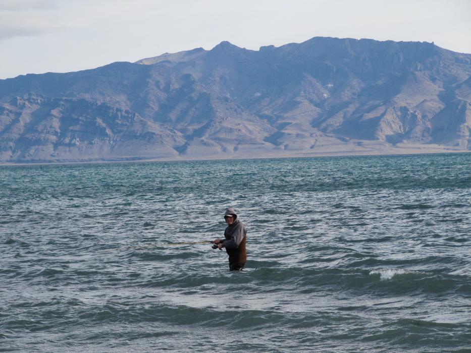 Don Quilici of Carson City, fishes in chest waders at Pyramid Lake, Nev. on a cold, raw, windy Nov. 20.  Photo by Elaine Quilici