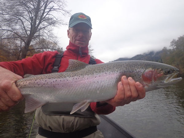 A Steelhead from the Trinity River.  Photo courtesy of Kirk and Lisa Portocarrero of Outdoor Adventures Sport Fishing
