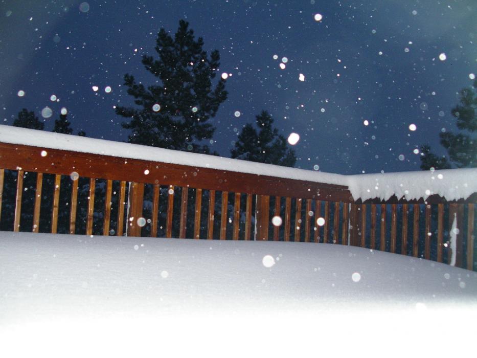 Snowfall after dark.  Photo by Elaine Quilici