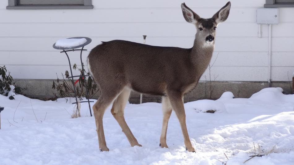 OK, you're close enough to me! Photo by Elaine Quilici