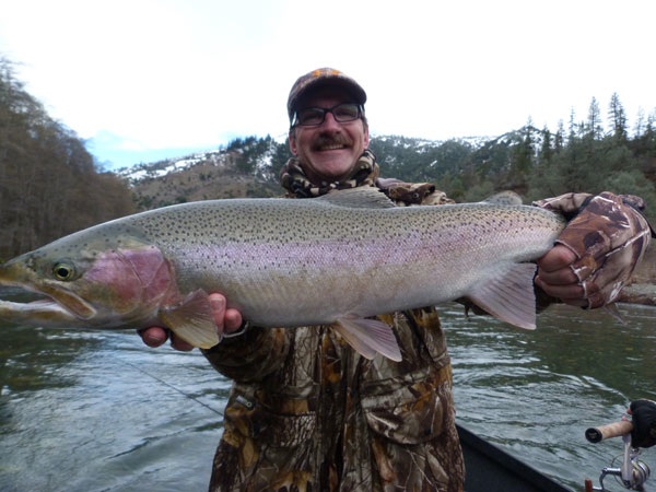 A Steelhead from the Trinity River.  Photo courtesy of Kirk and Lisa Portocarrero of Outdoor Adventures Sport Fishing