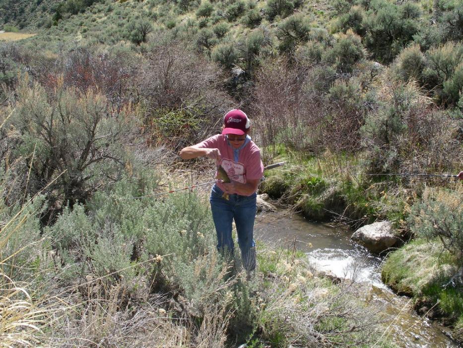 Catali Quilici of Dayton with her Eastern Brook Trout caught at Steptoe Creek in White Pine County, Nev. Photo by Elaine Quilici