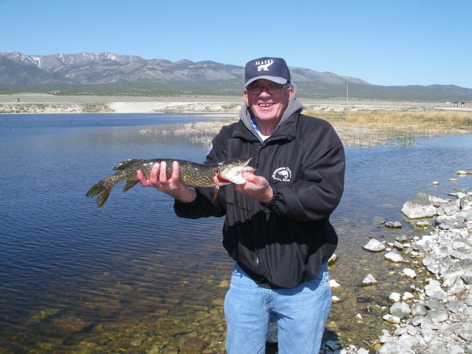 Don Quilici of Carson City with his Northern Pike caught at Comins Lake, just out of Ely, Nev.  Photo by Elaine Quilici