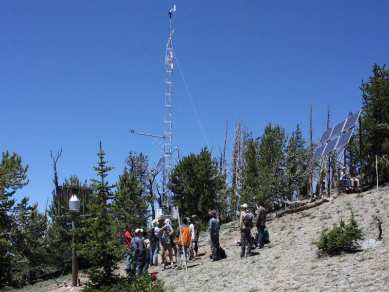 Photo courtesy University of Nevada, Reno