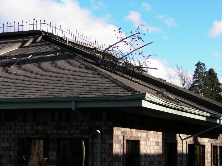 A branch from a large cottonwood fell and went into the roof and interior of Bullis & Company CPA, 206 East Division.