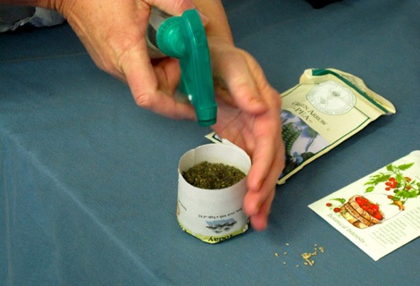 UNR Cooperative Extension will host a Seeds vs. Starts: planning and planting your garden, 6– 8 p.m., April 3.