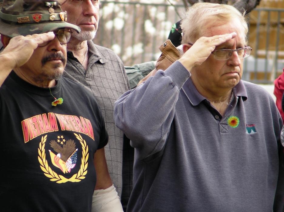 Vietnam Veteran Ron Bliss, right, and others salute during Saturday's Carson City ceremony.