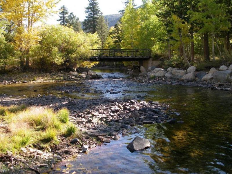 Robinson Creek with fall colors.  Photo by Elaine Quilici