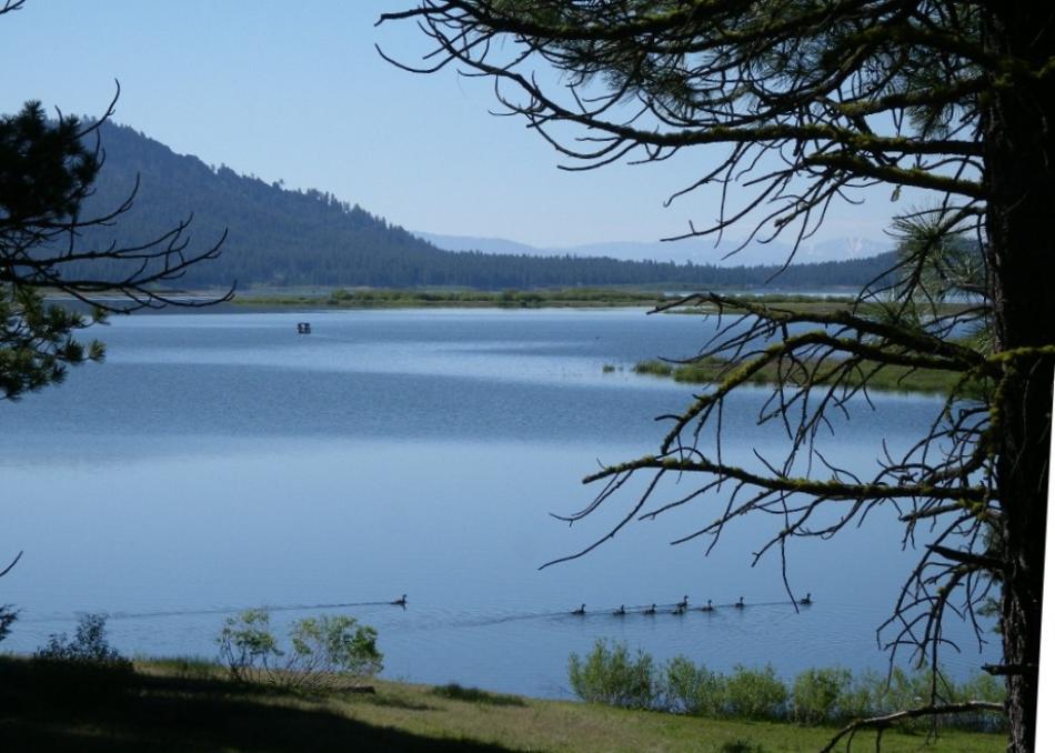 Davis Lake.  Photo by Elaine Quilici