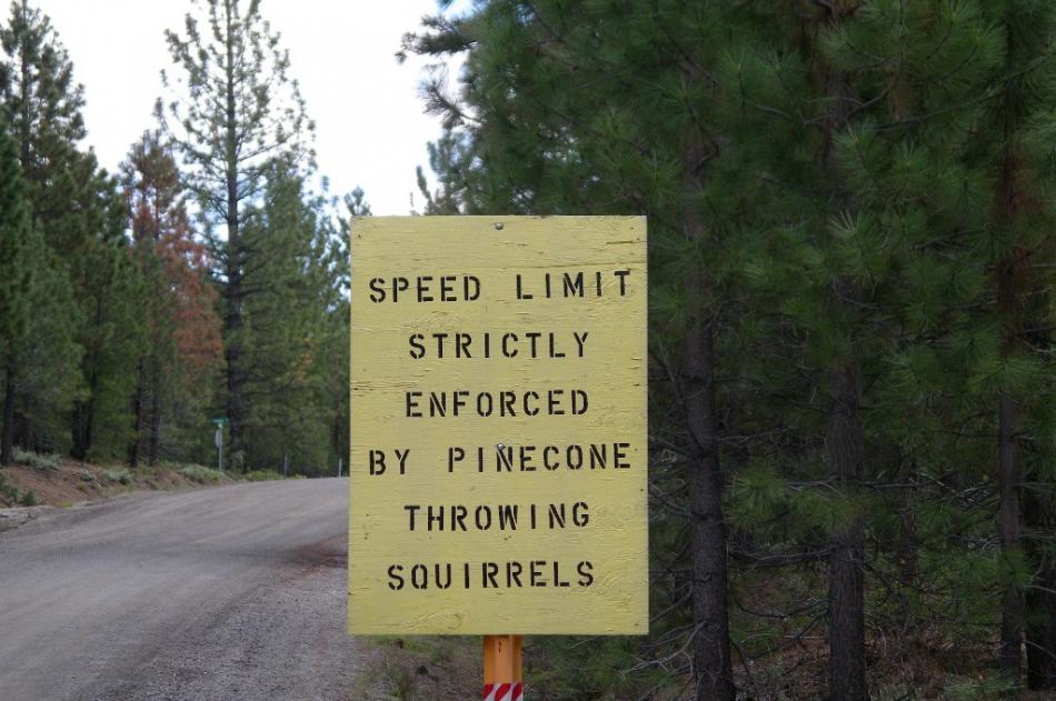 One of the unusual signs in the Davis Lake area.  Photo by Elaine Quilici