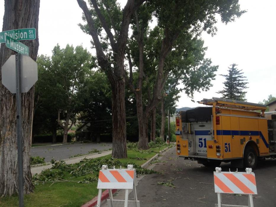 Carson City fire crews at the scene of a tree on fire. Photo by Ashley Lindsey-Dale