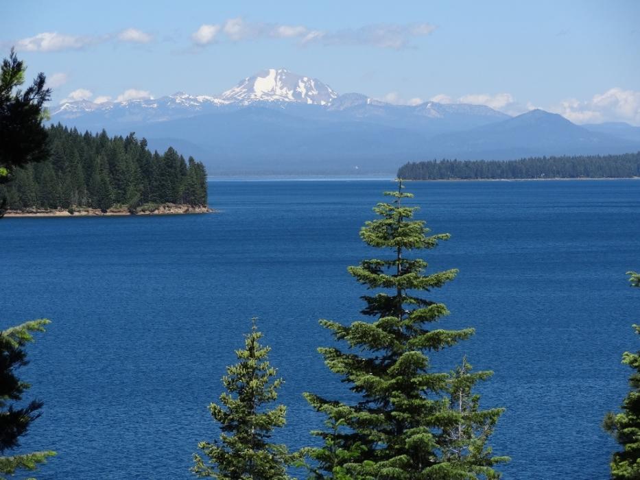 Lake Almanor with Mt. Lassen in the background as seen from a rest area on California S.R. 147. Photo by Elaine Quilici