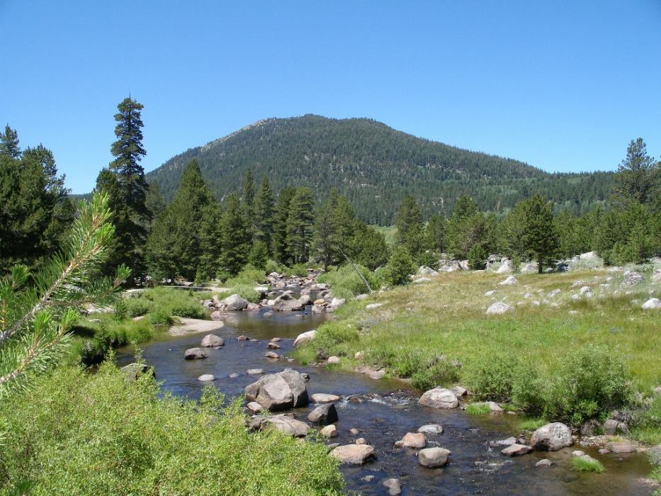 The West Carson River in Hope Valley. Photo by Elaine Quilici