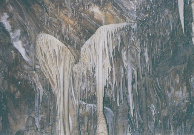 A portion of the ceiling in one of the caves.  Photo by Elaine Quilici