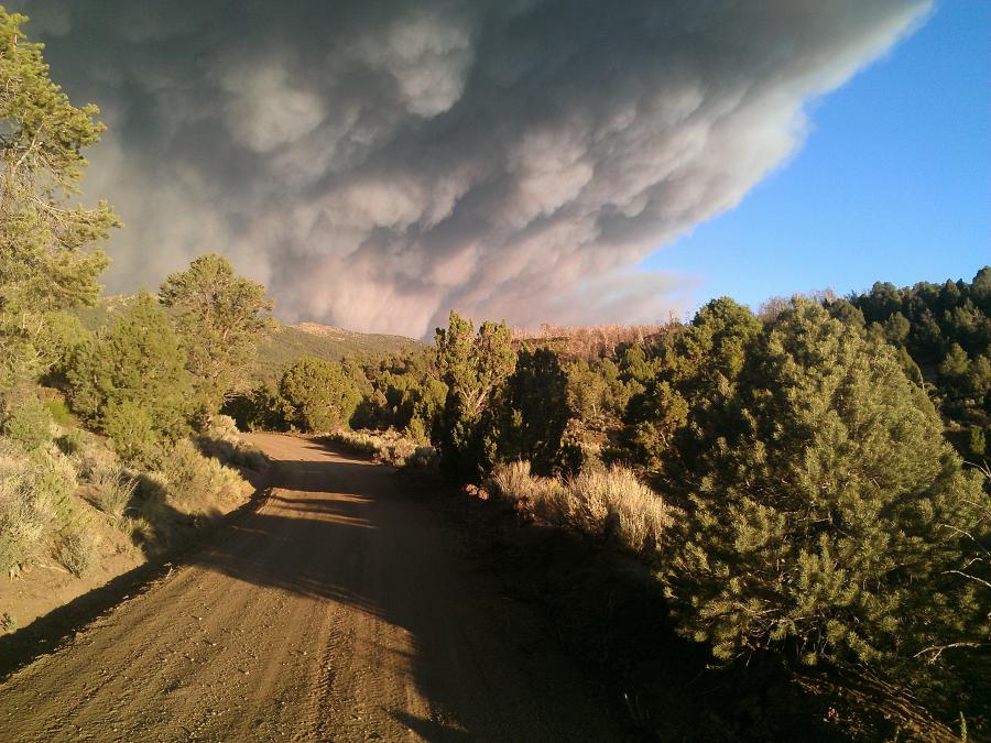 Bison Fire