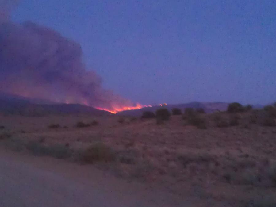 Bison Fire