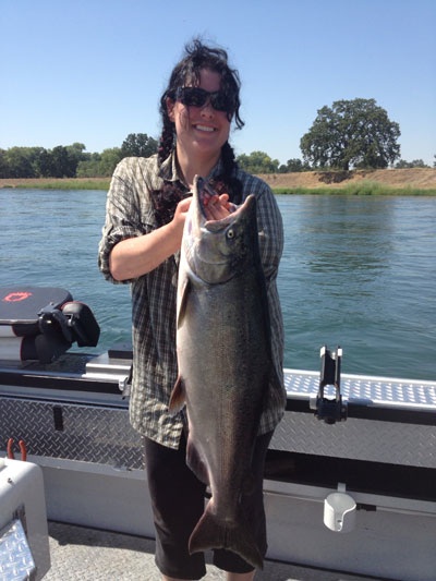 A King Salmon caught on July 27 in the Sacramento River.  Photo by Kirk Portocarrero at Outdoor Adventures