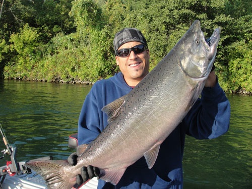 A King Salmon caught in the Sacramento River. Photo courtesy of Kirk Portocarrero