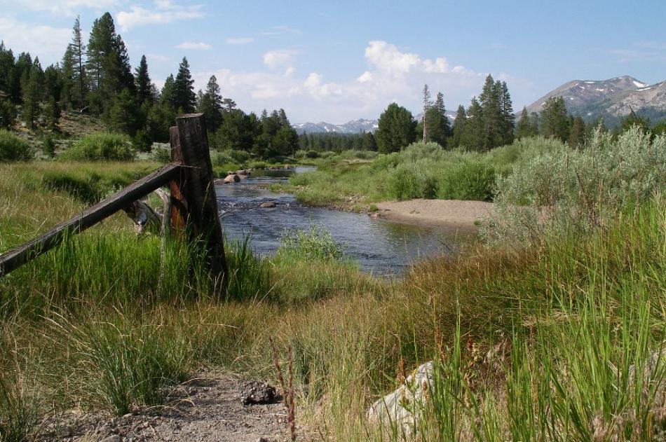 West Carson River. Photo by Elaine Quilici