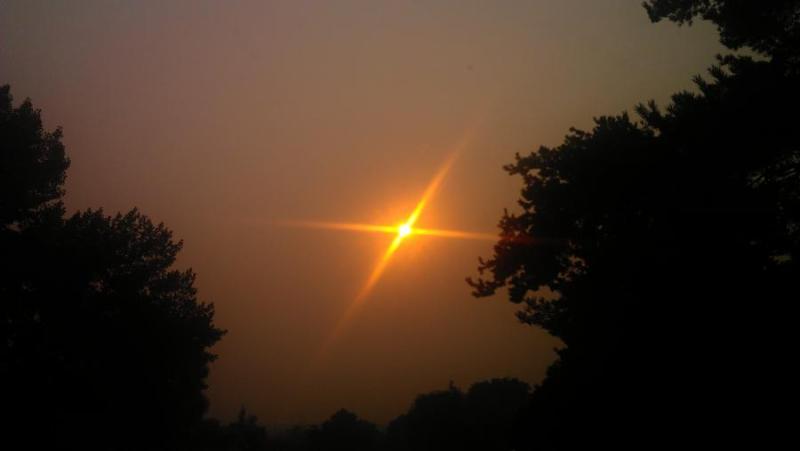 View of Friday morning's sun in Jacks Valley due smoke from the Rim Fire.