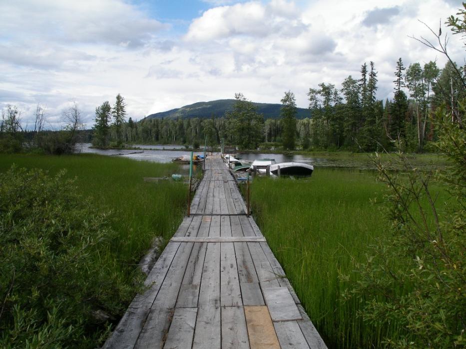 The dock going out to the moored boats. Photo by Elaine Quilici