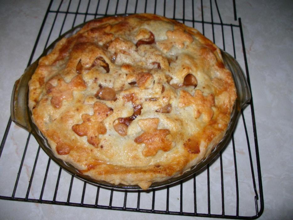 Homemade apple pie for dessert.  Photo by Elaine Quilici