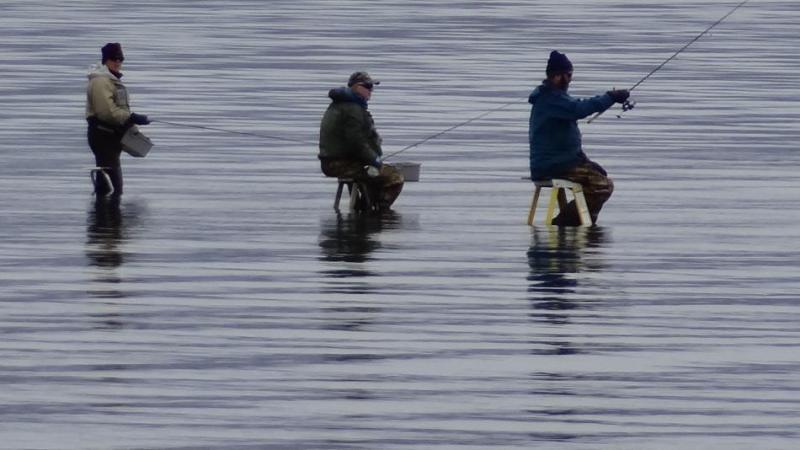 Fishermen on their stools or ladders. Photo by Elaine Quilici