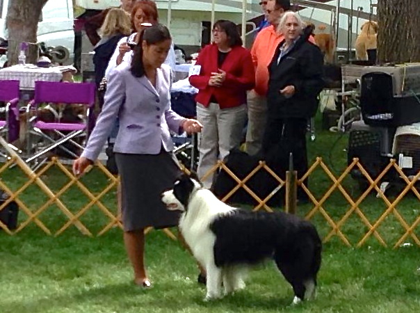 Elizabeth Nelson with Dodger