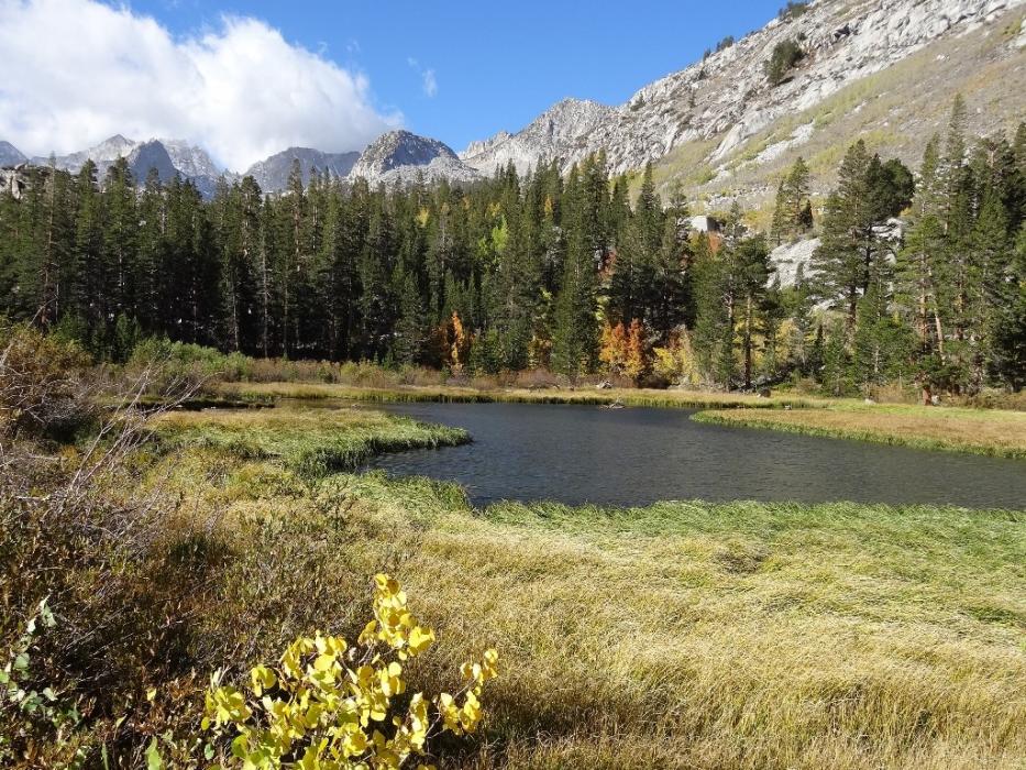 Weir Pond.  Photo by Elaine Quilici