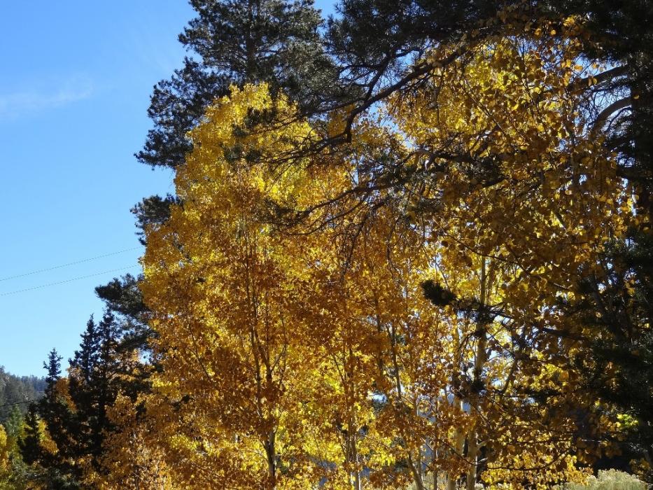 Mother Nature's beauty. Photo by Elaine Quilici