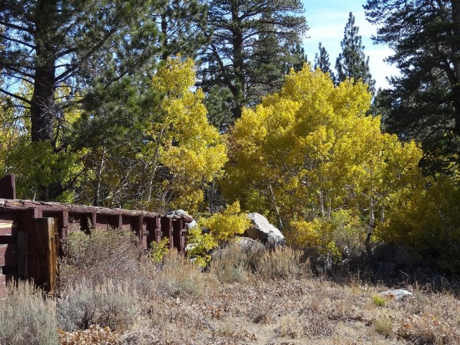 The old corral along S.R. 88 near Red Lake. Photo by Elaine Quilici