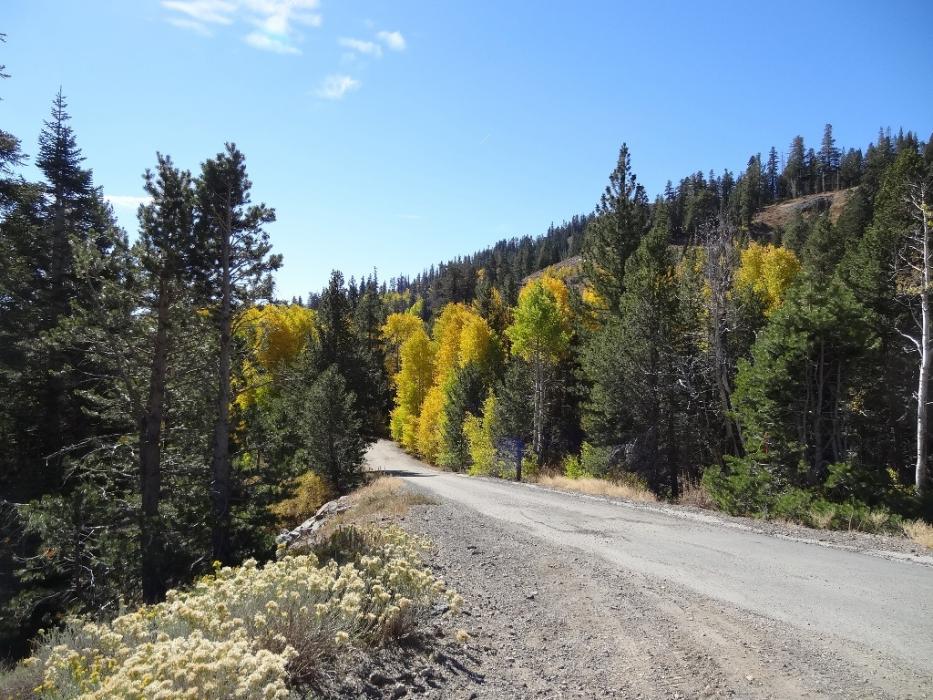 The dirt road that runs from S.R. 88 to Lost Lakes. Photo by Elaine Quilici