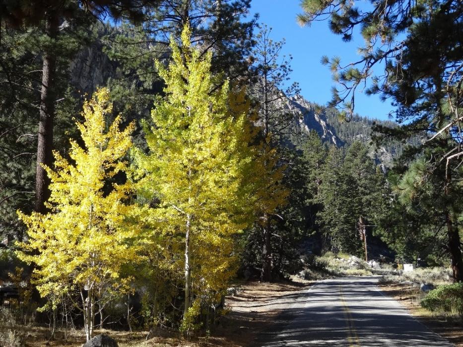 Near the U.S. Forest Service Campground in the canyon.  Photo by Elaine Quilici