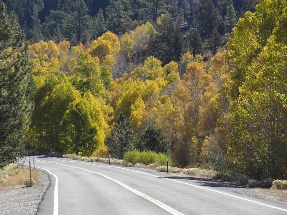 S.R. 88 between Sorensen's and Pickett's Junction.  Photo by Elaine Quilici