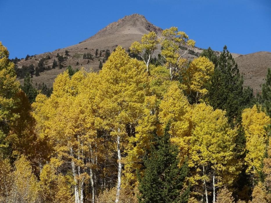 One of the mountain peaks above Hope Valley. Photo by Elaine Quilici