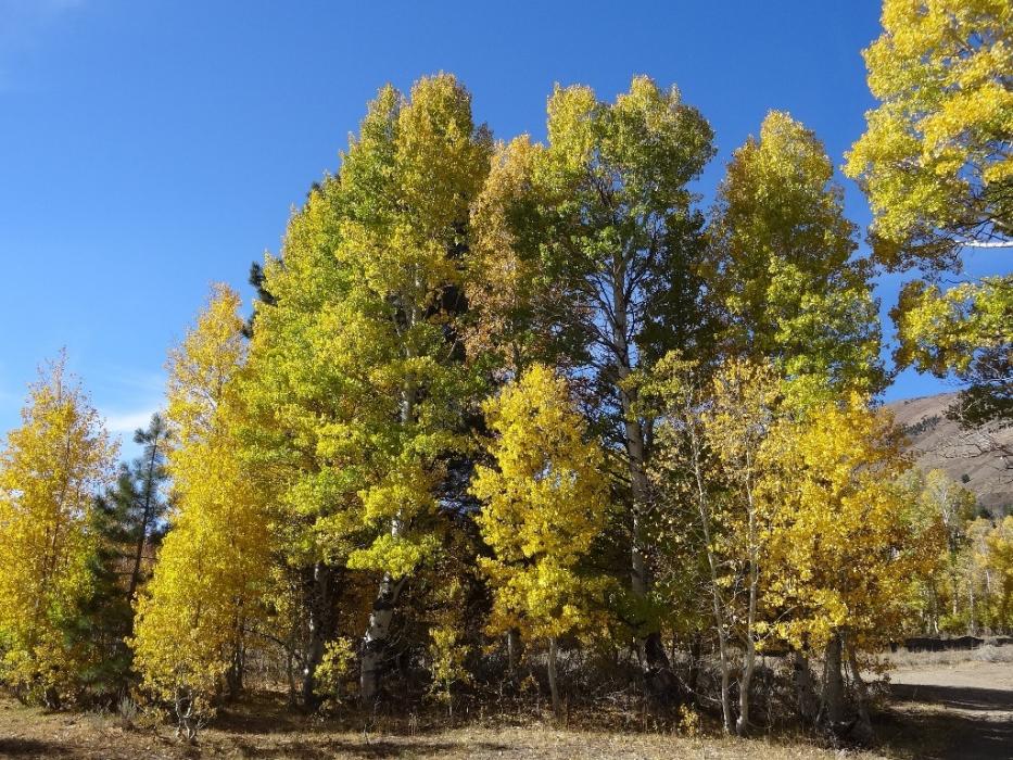 One of the parking areas on that dirt road. Photo by Elaine Quilici