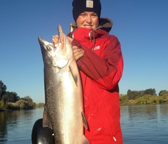 A King Salmon from the Sacramento River.  Photo courtesy of JD Richey Sportfishing