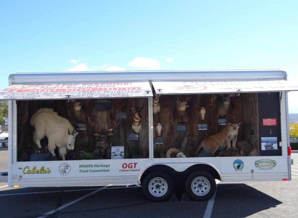 Some of the wildlife illegally taken by poachers. Photo by Elaine Quilici