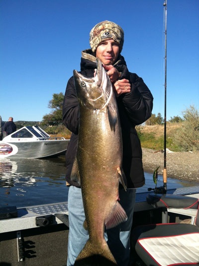 Another King Salmon from the Sacramento River.  Photo courtesy of Kirk Portocarrero at outdooradventures