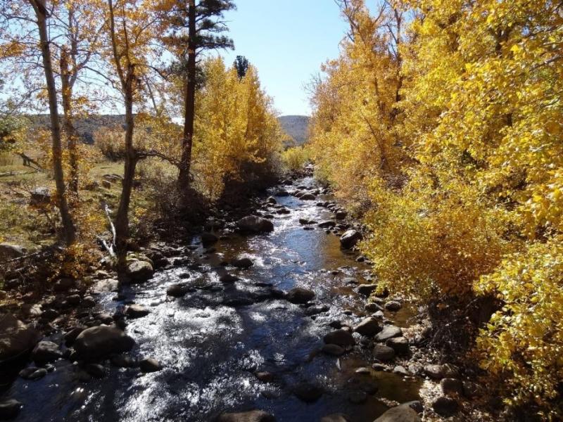 The W. Carson River on Oct. 20 from the Diamond Valley Road Bridge in Alpine County, Calif.  Photo by Elaine Quilici