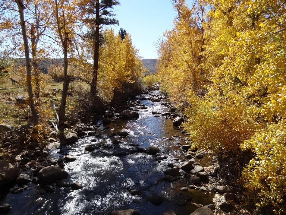 The W. Carson River on Oct. 20 from the Diamond Valley Road Bridge in Alpine County, Calif.  Photo by Elaine Quilici