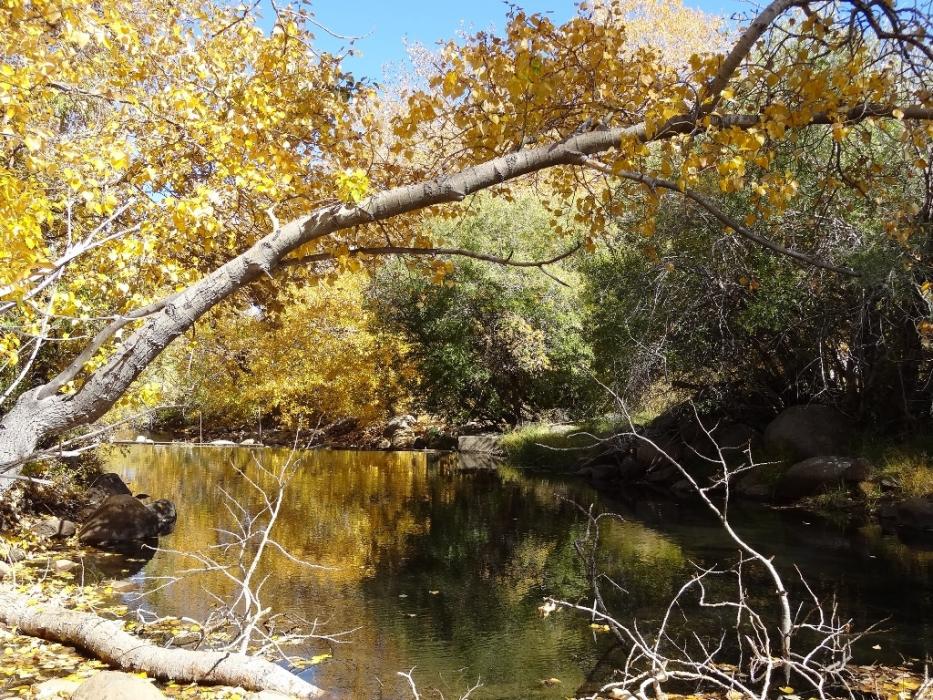 Looking downstream from the same bridge.   Photo by Elaine Quilici
